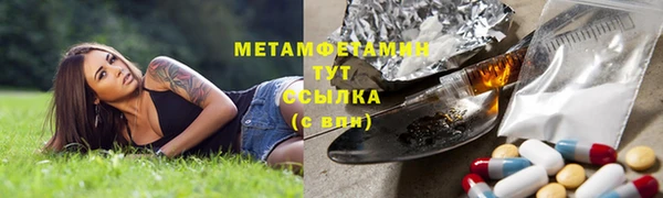 сатива Заводоуковск