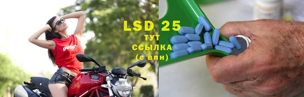сатива Заводоуковск