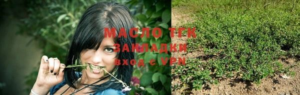 сатива Заводоуковск