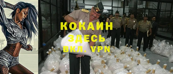 сатива Заводоуковск