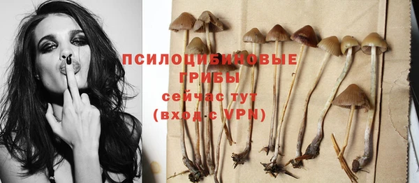 сатива Заводоуковск