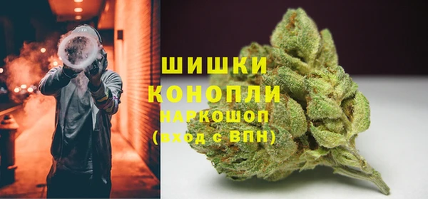 сатива Заводоуковск