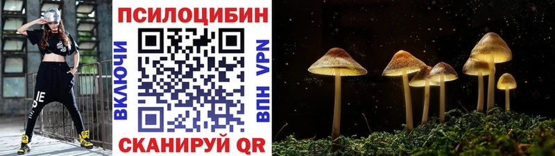 Купить где  Моздок  Псилоцибиновые грибы мицелий 